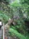 Thumbs/tn_d Sur les passerelles de Morteville.jpg